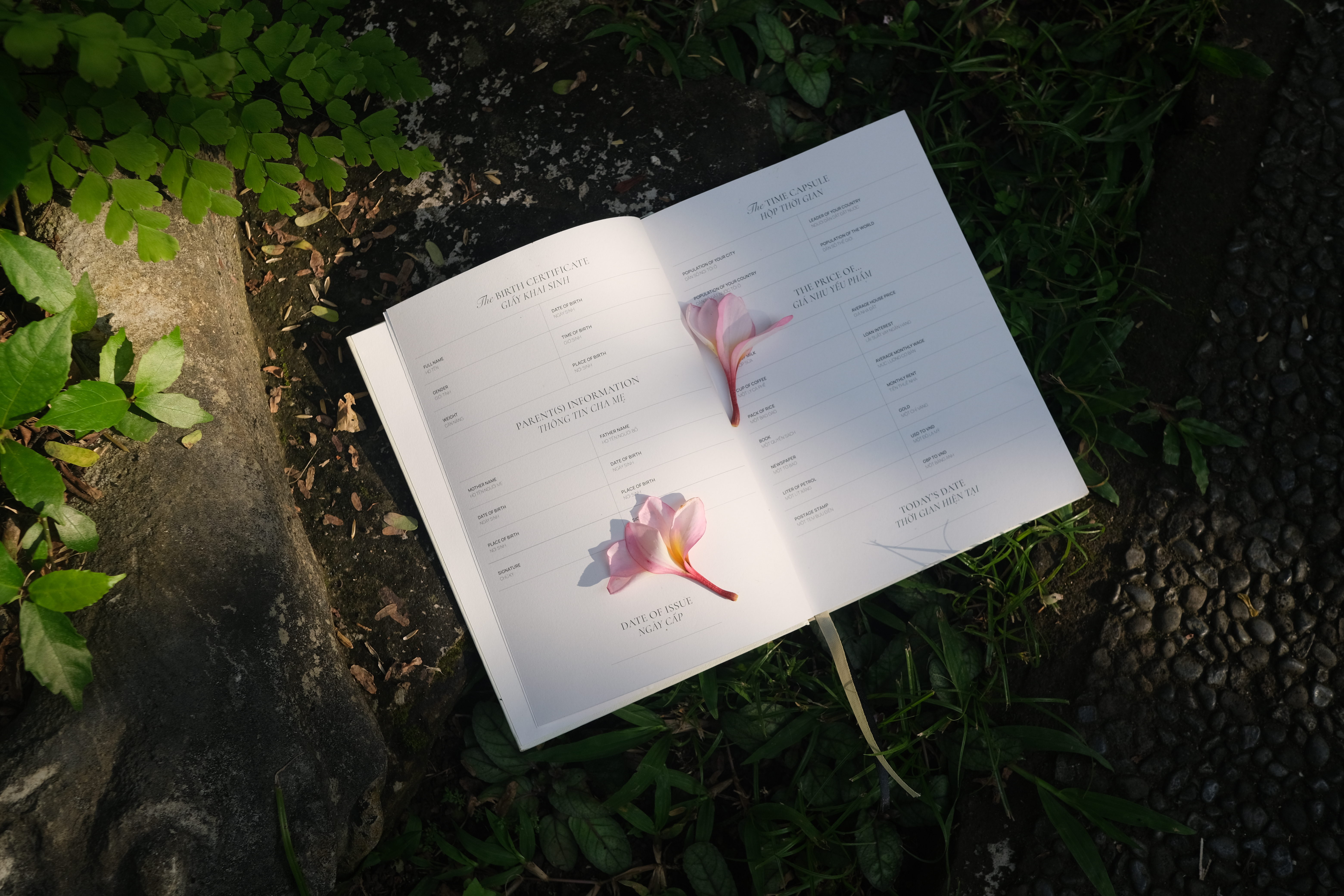 Fragments To Whole Special Edition Journal